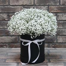 Цветочная композиция из Гипсофила в шляпной коробке #REPLACE_PRED# Мелихово