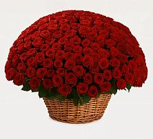 Премиум букет из: Розы в Мелихово